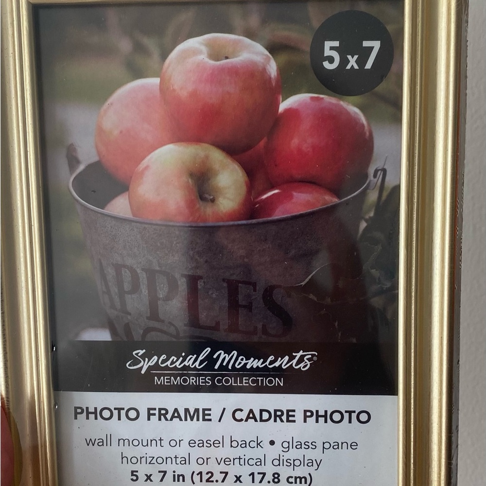 Special Moments Gold Photo Frame